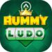 rummy ludo